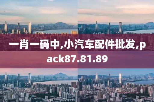 一肖一码中,小汽车配件批发,pack87.81.89