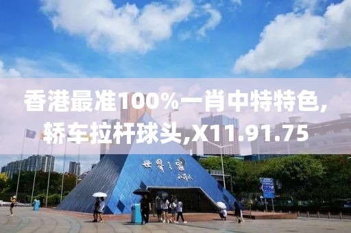 香港最准100%一肖中特特色,轿车拉杆球头,X11.91.75