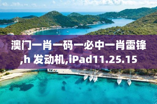 澳门一肖一码一必中一肖雷锋,h 发动机,iPad11.25.15