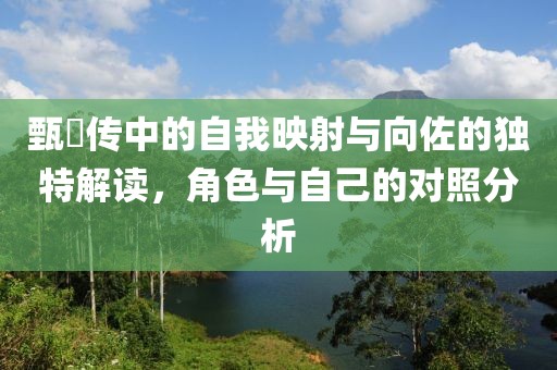 甄嬛传中的自我映射与向佐的独特解读，角色与自己的对照分析