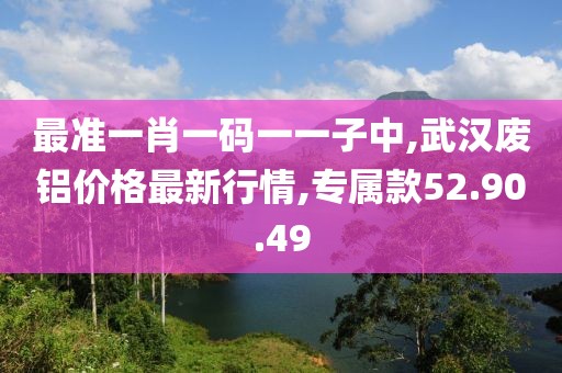 最准一肖一码一一子中,武汉废铝价格最新行情,专属款52.90.49