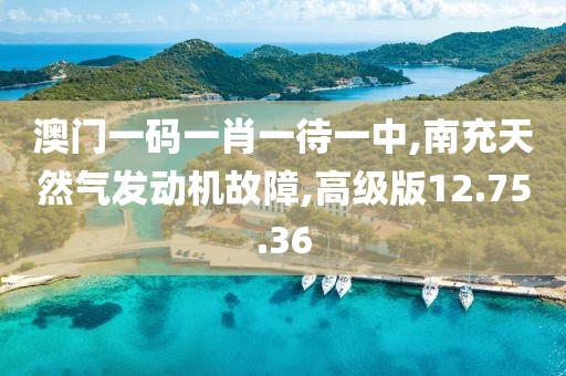 澳门一码一肖一待一中,南充天然气发动机故障,高级版12.75.36