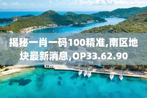 揭秘一肖一码100精准,南区地块最新消息,OP33.62.90