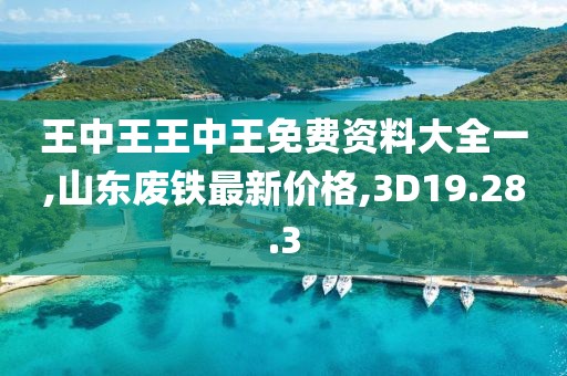 王中王王中王免费资料大全一,山东废铁最新价格,3D19.28.3