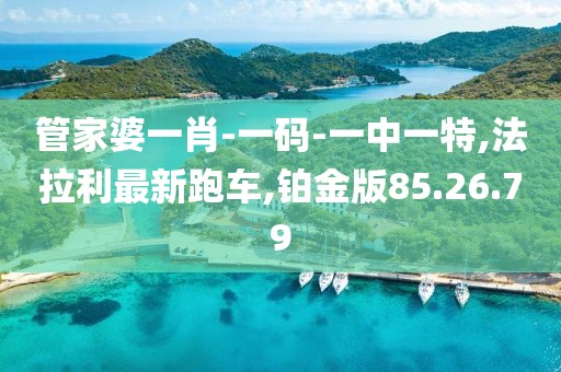 管家婆一肖-一码-一中一特,法拉利最新跑车,铂金版85.26.79