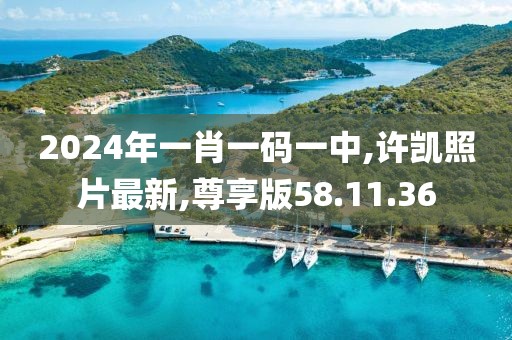 2024年一肖一码一中,许凯照片最新,尊享版58.11.36