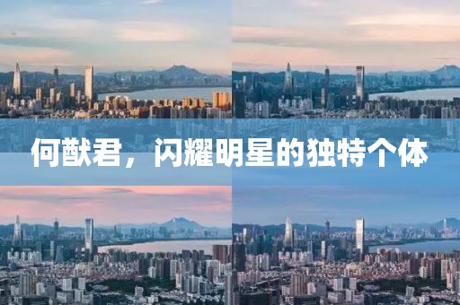 何猷君，闪耀明星的独特个体