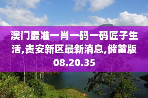 澳门最准一肖一码一码匠子生活,贵安新区最新消息,储蓄版08.20.35
