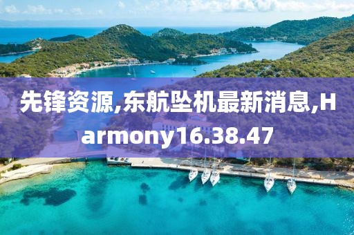 先锋资源,东航坠机最新消息,Harmony16.38.47