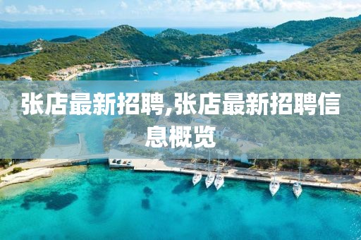 张店最新招聘,张店最新招聘信息概览