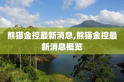 熊猫金控最新消息,熊猫金控最新消息概览