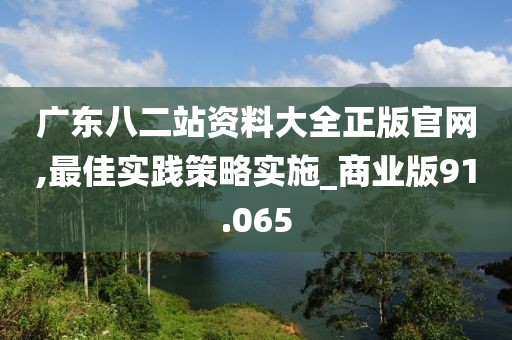 广东八二站资料大全正版官网,最佳实践策略实施_商业版91.065