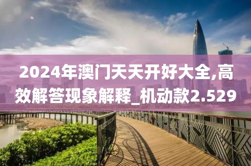 2024年澳门天天开好大全,高效解答现象解释_机动款2.529
