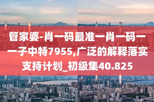 管家婆-肖一码最准一肖一码一一子中特7955,广泛的解释落实支持计划_初级集40.825
