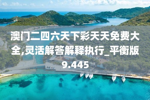 澳门二四六天下彩天天免费大全,灵活解答解释执行_平衡版9.445