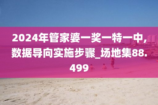 2024年管家婆一奖一特一中,数据导向实施步骤_场地集88.499