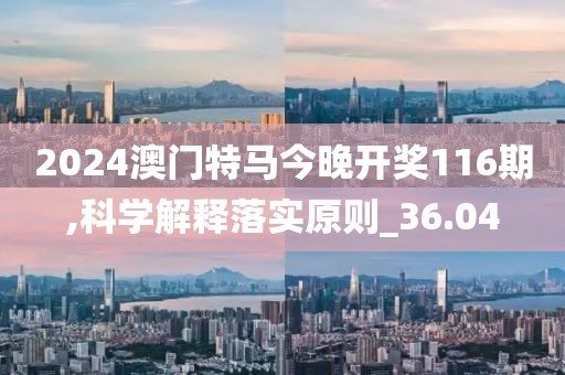 2024澳门特马今晚开奖116期,科学解释落实原则_36.04