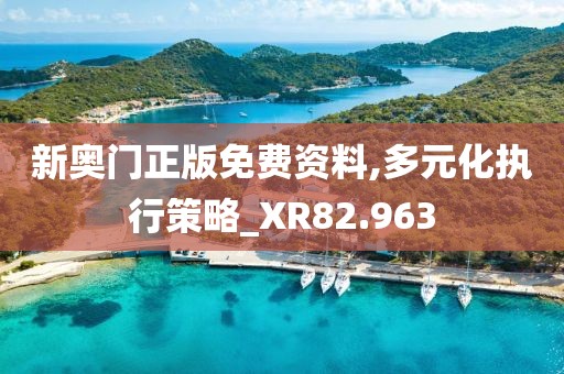 新奥门正版免费资料,多元化执行策略_XR82.963