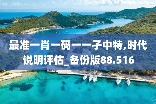 最准一肖一码一一孑中特,时代说明评估_备份版88.516