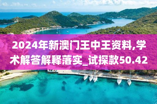 2024年新澳门王中王资料,学术解答解释落实_试探款50.42