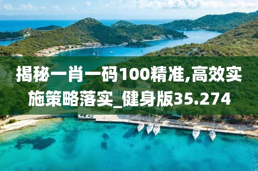 揭秘一肖一码100精准,高效实施策略落实_健身版35.274