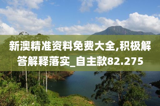 新澳精准资料免费大全,积极解答解释落实_自主款82.275