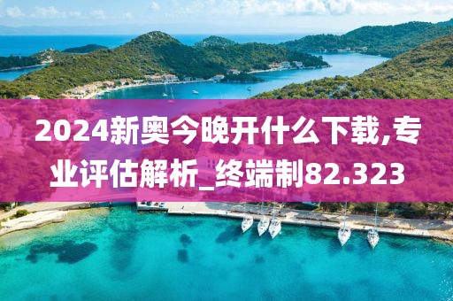 2024新奥今晚开什么下载,专业评估解析_终端制82.323