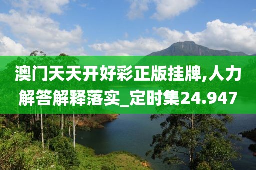 澳门天天开好彩正版挂牌,人力解答解释落实_定时集24.947