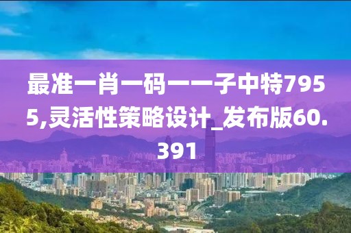 最准一肖一码一一子中特7955,灵活性策略设计_发布版60.391