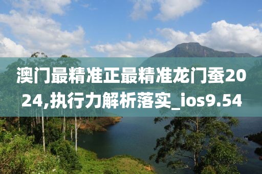 澳门最精准正最精准龙门蚕2024,执行力解析落实_ios9.54