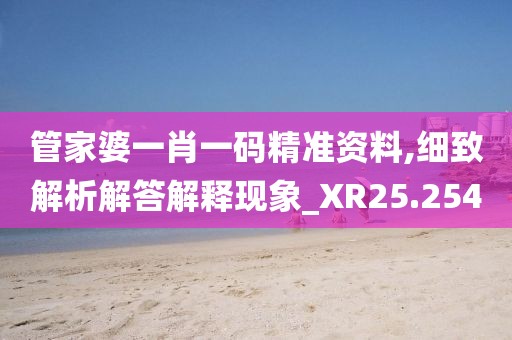 管家婆一肖一码精准资料,细致解析解答解释现象_XR25.254