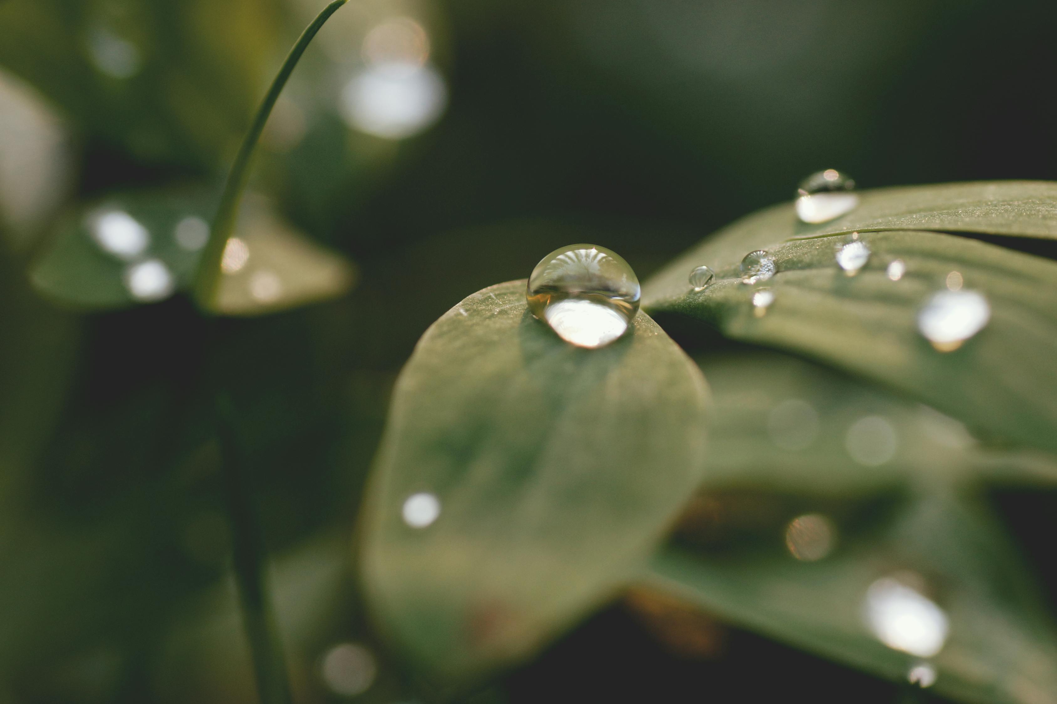 白露时节，秋意浓诗意韵的魅力展现