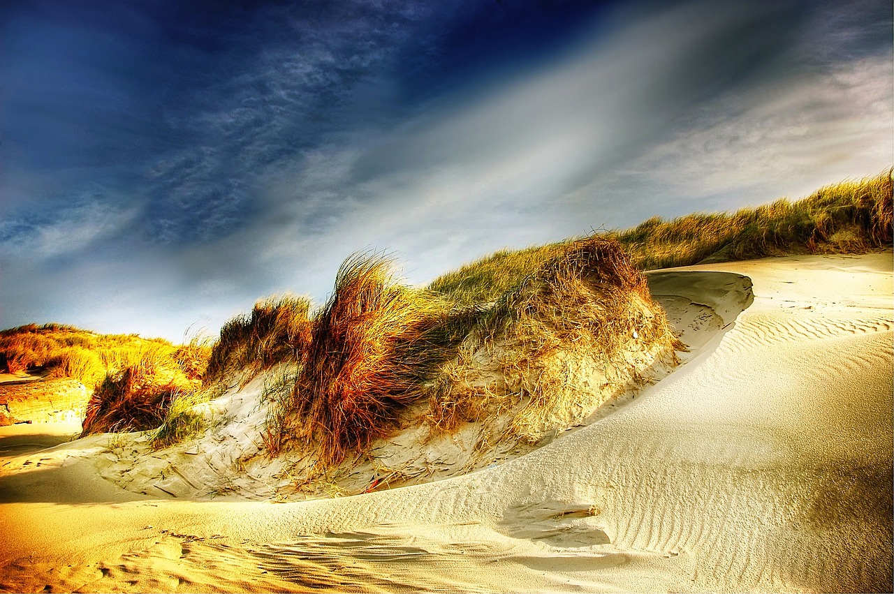 澳门今期出什么特马,迅捷解答解释落实_HDR5.451