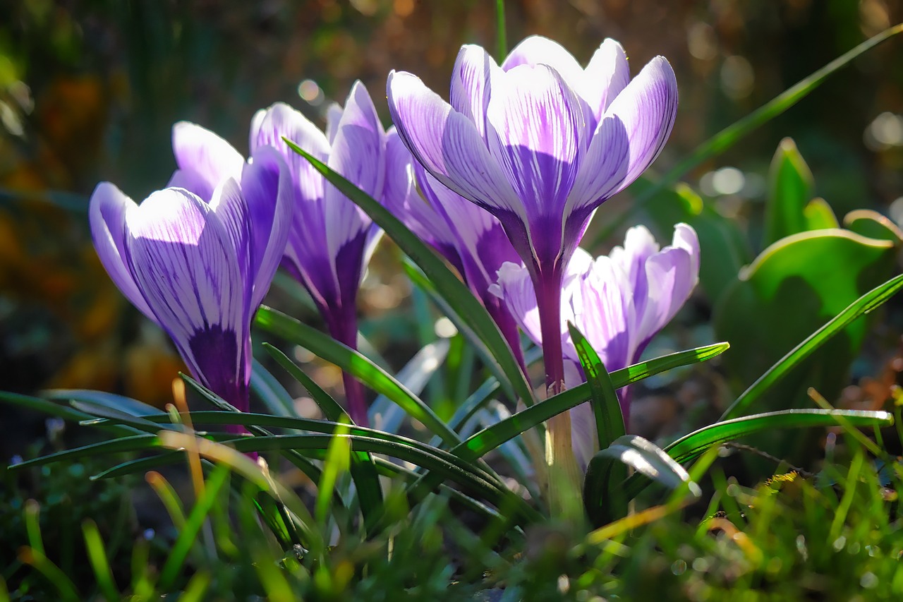 教师节致敬，点亮知识的明灯，育人为本的恩师们
