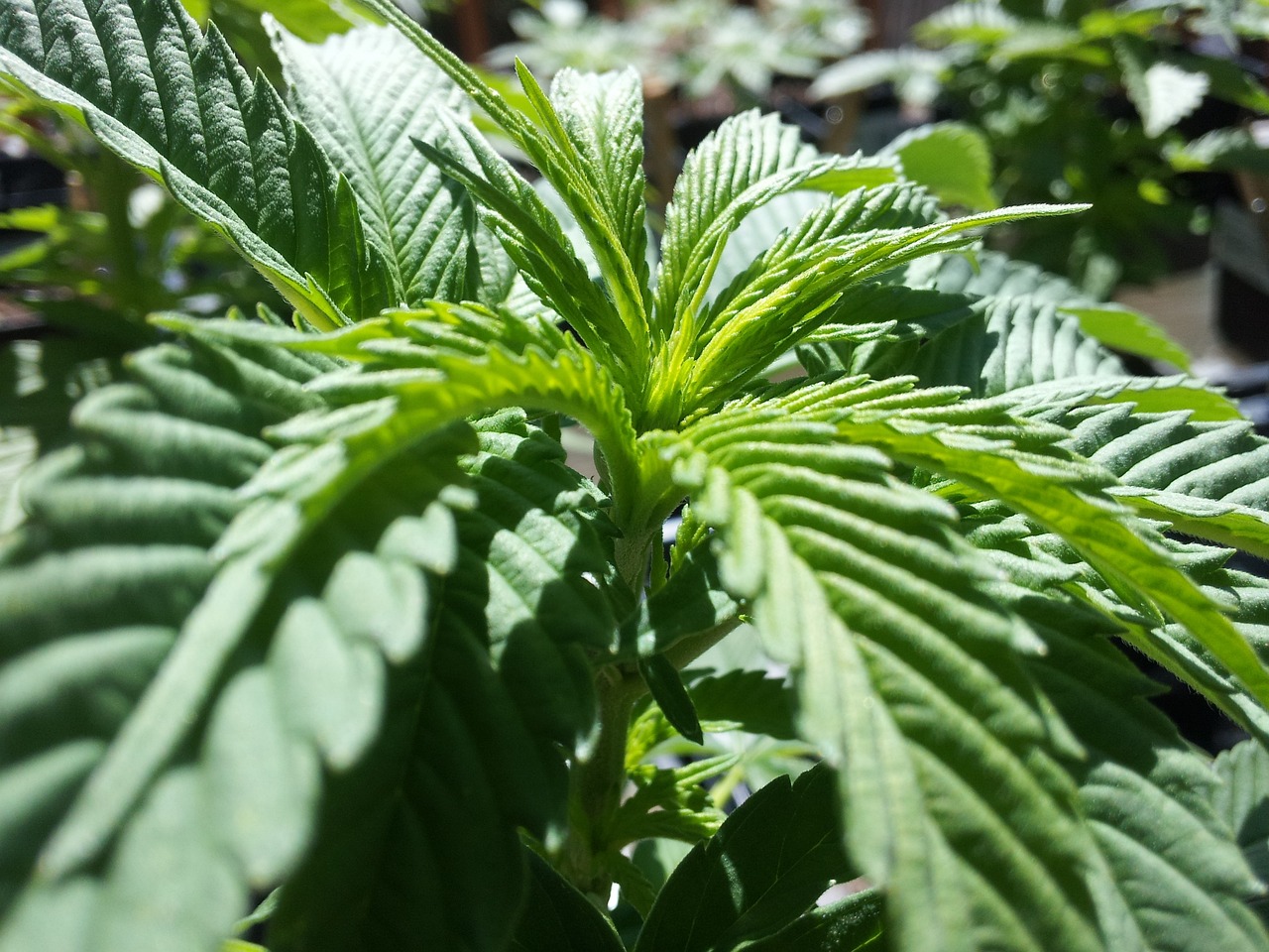 哈萨克斯坦，繁荣与潜力的交汇之地探秘