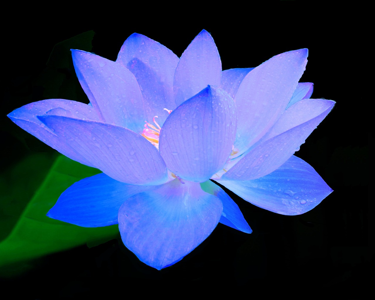 六一儿童节，孩子们的欢乐盛宴