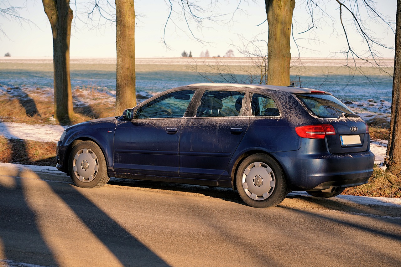 2024新澳正版资料最新更新,奥迪a4l最新报价,X版92.37.91