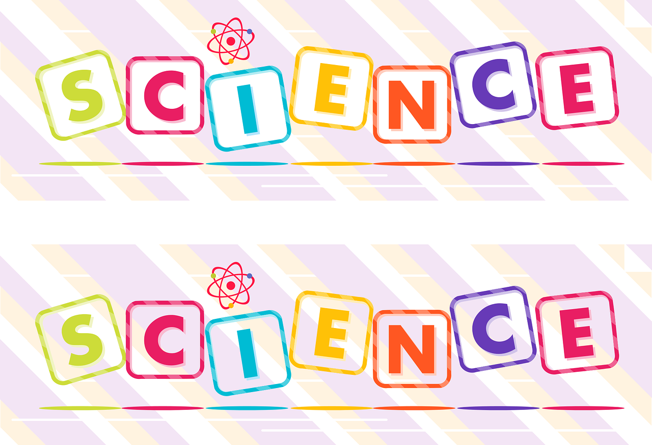 新澳好彩免费资料查询水果奶奶,创造解答解释执行_操作款6.32
