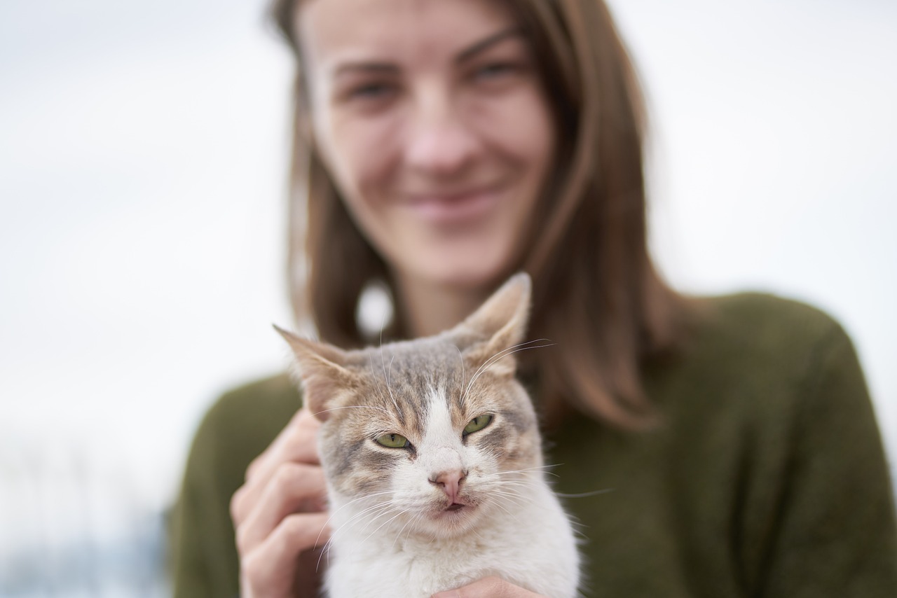 最新版猫咪，探索多样性与独特性的魅力