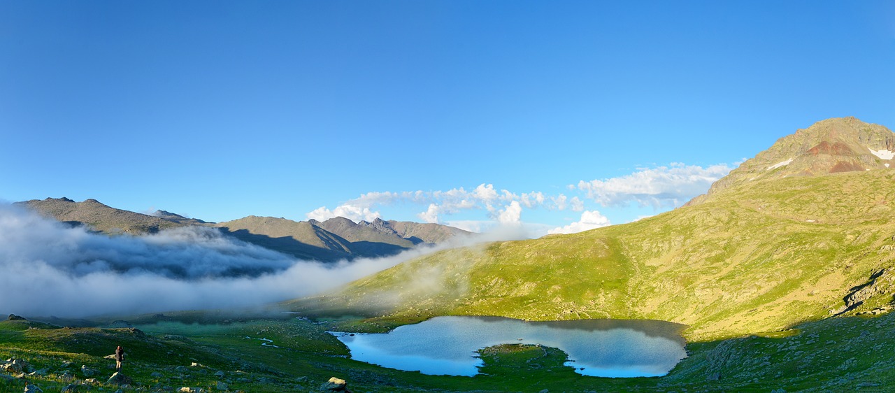 最新美图软件，探索美丽新世界之旅