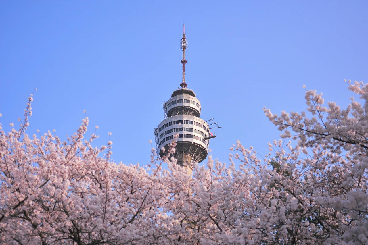 2024新奥资料免费精准109,韩国瑜国最新消息,冒险版33.45.50