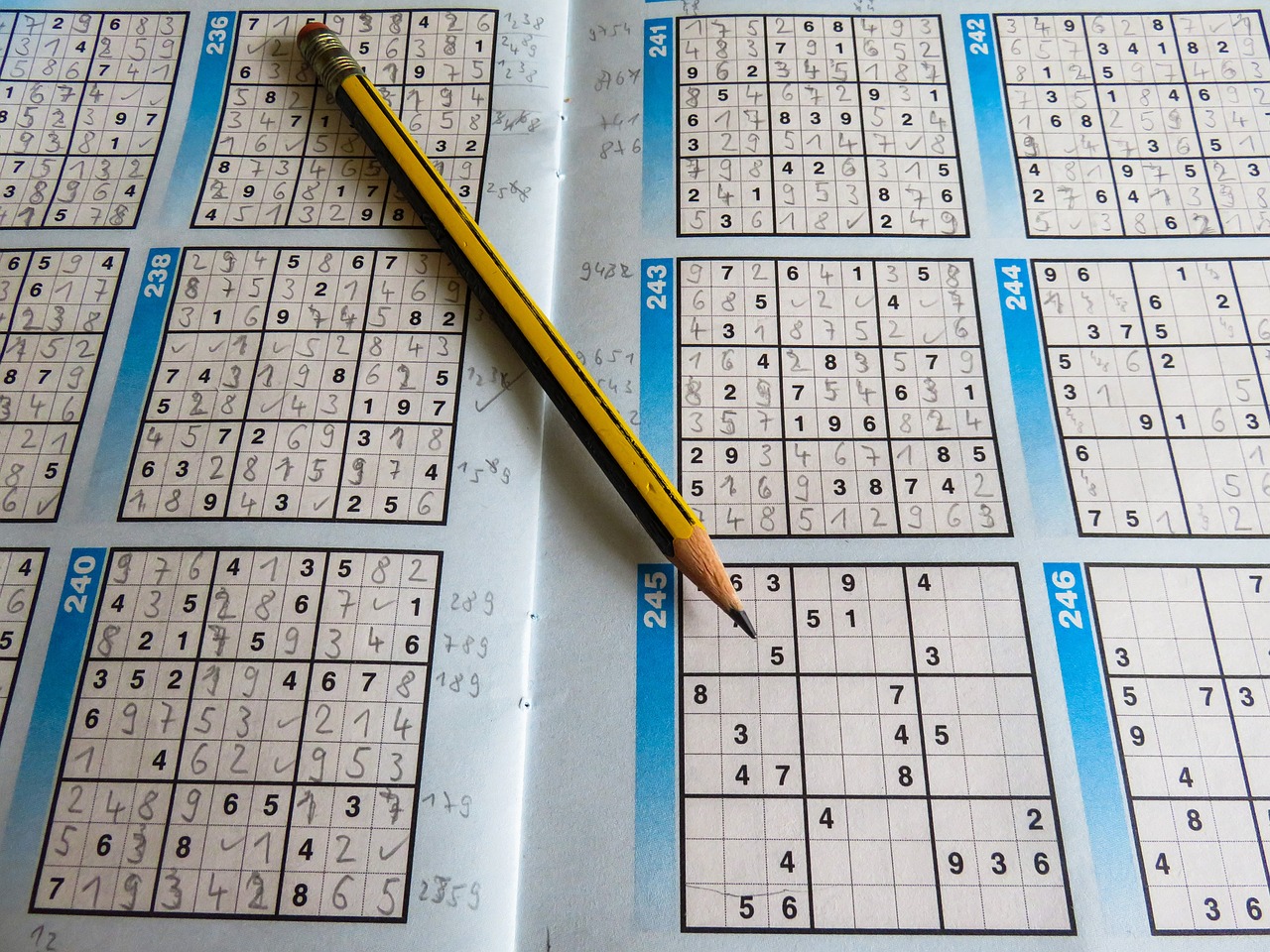 2024澳门天天开好彩大全回顾,现场研究支持解答_运动风YP972.994