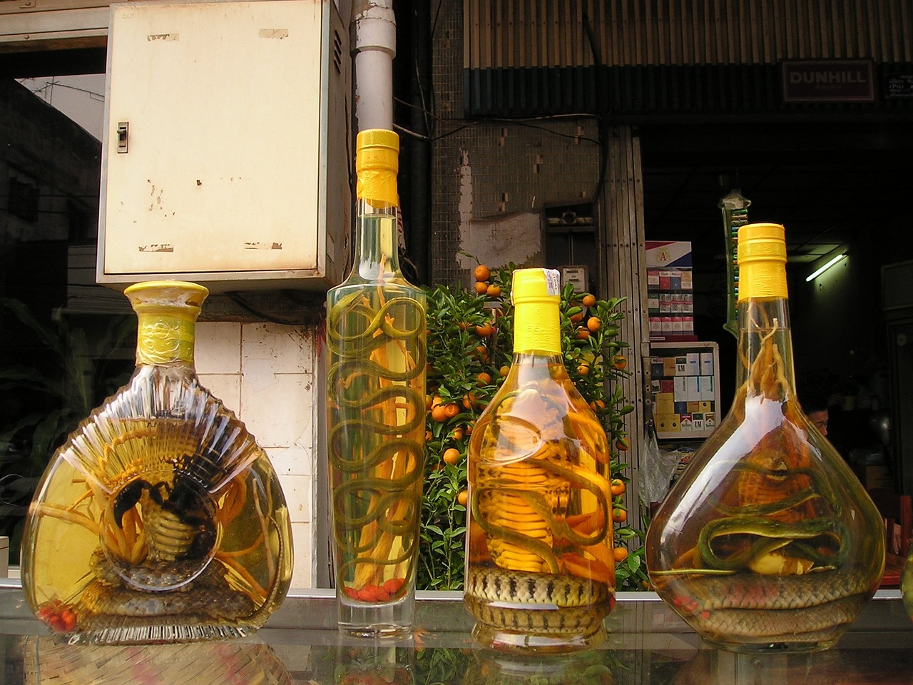 白沙液酒价格大全，最新价格一览表