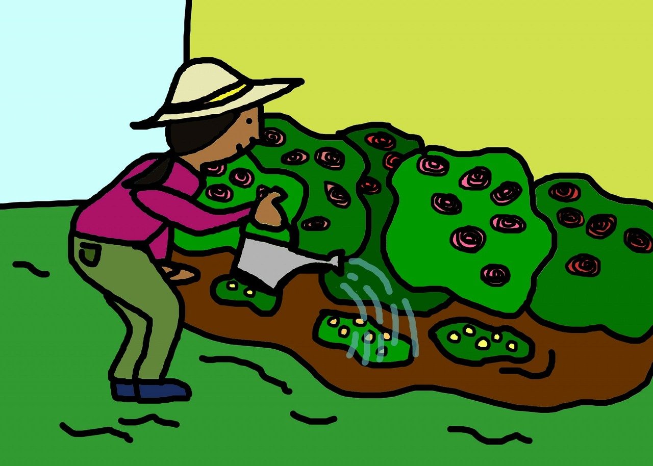 初告白 第5页