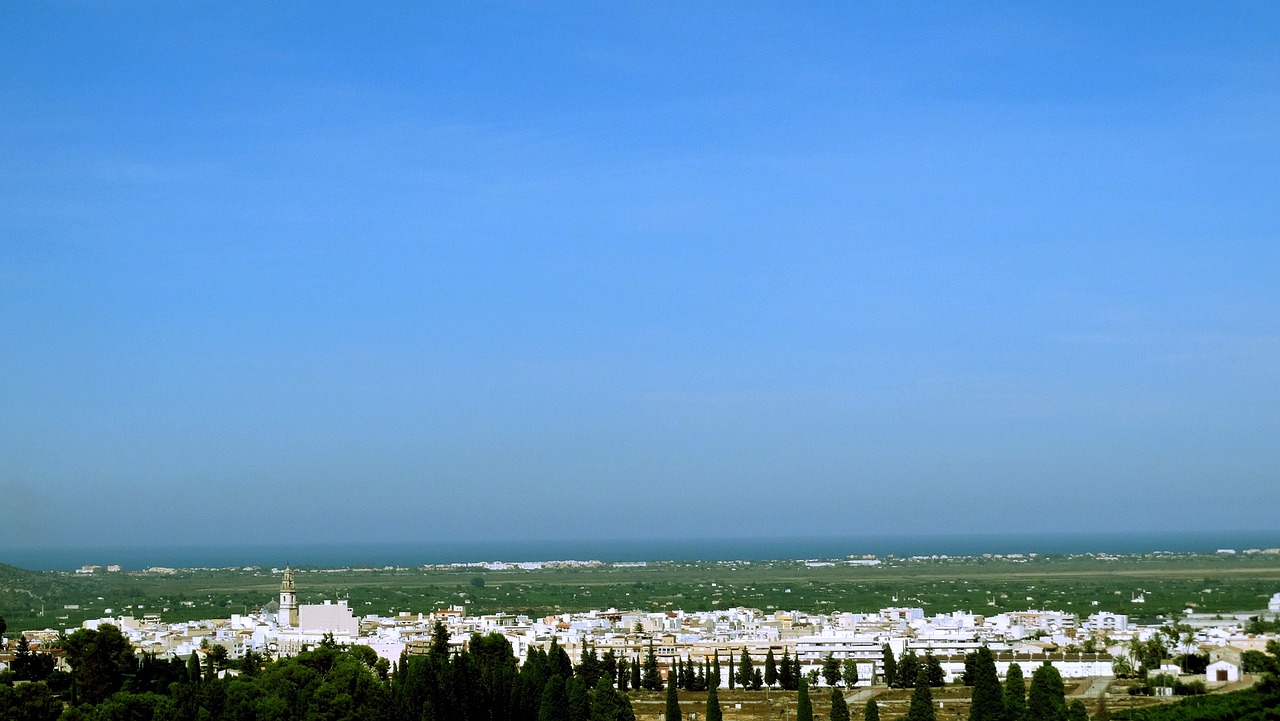 南宁水果行情概览，最新市场动态与趋势分析