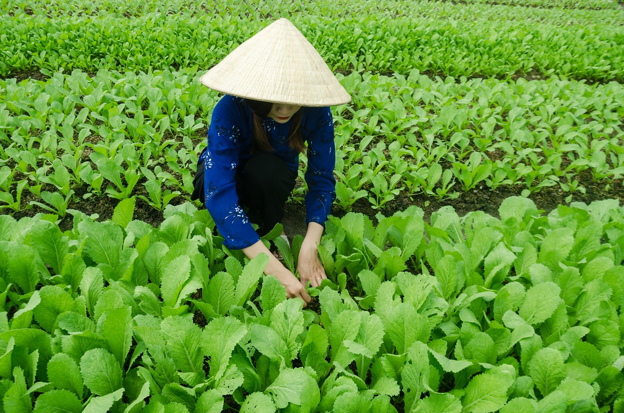 延边富德最新动态更新，关注最新发展动态